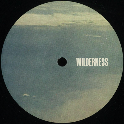 Peeb - Endless Skies EP (VINYL) | Mint (M) Mint (M)-