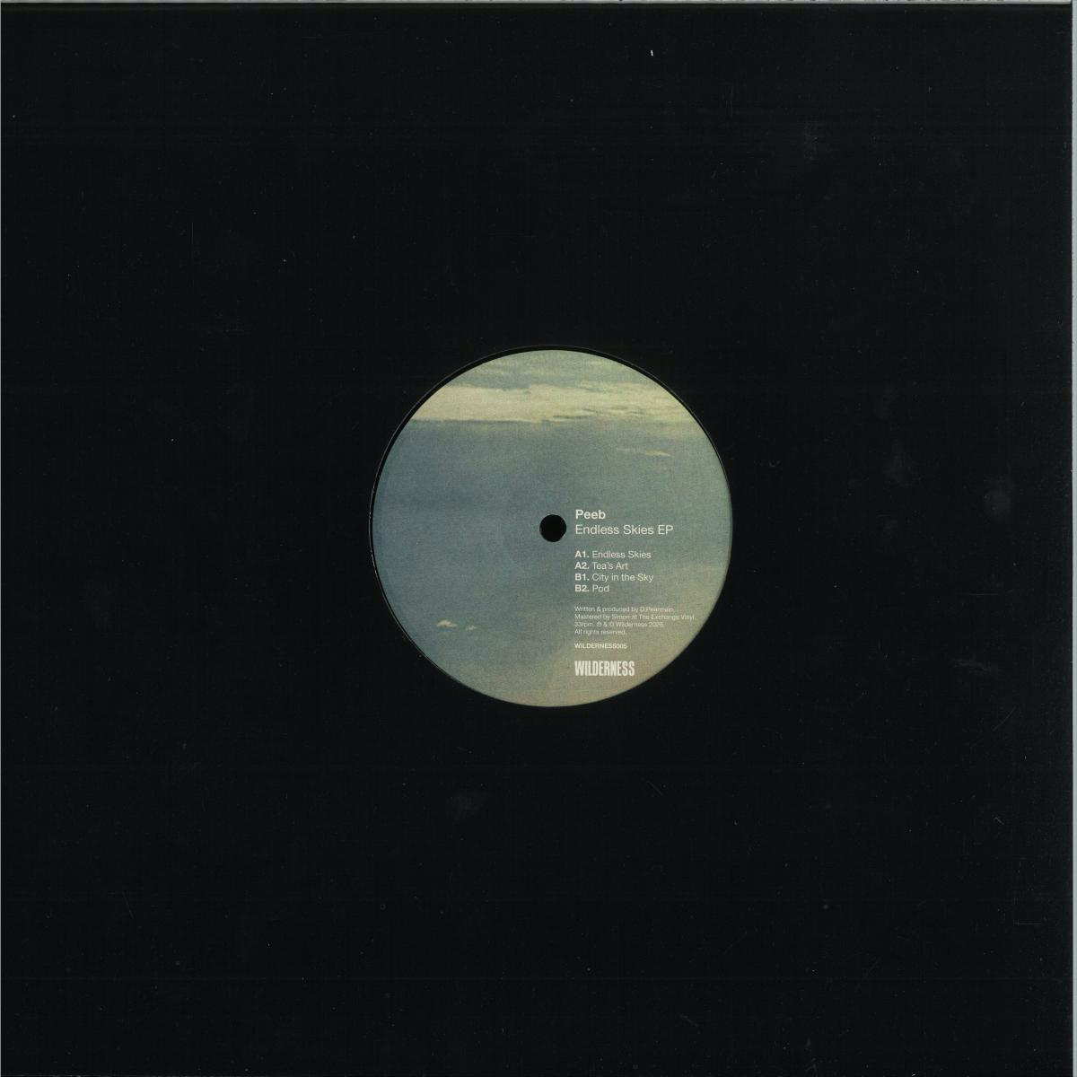 Peeb - Endless Skies EP (VINYL) | Mint (M) Mint (M)-