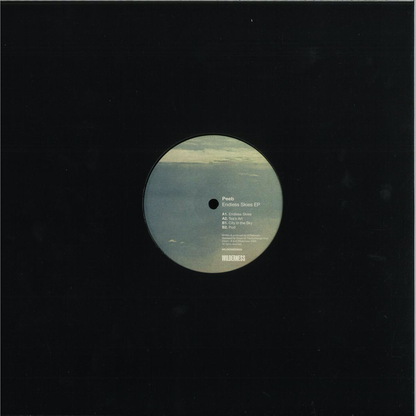 Peeb - Endless Skies EP (VINYL) | Mint (M) Mint (M)-