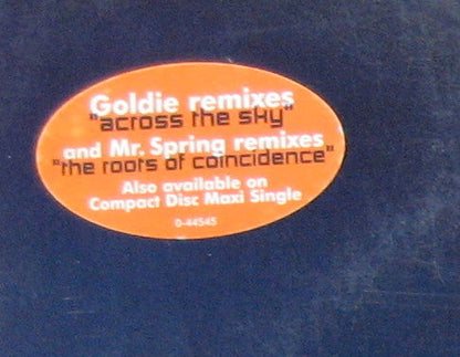 Pat Metheny Group - Across The Sky / The Roots Of Coincidence (GOLDIE) | Excellent+ (EX+) Excellent (EX)-