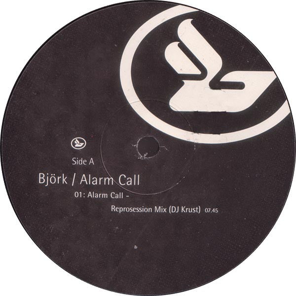 Björk - Alarm Call (12" VINYL) | Very Good Plus (VG+)-