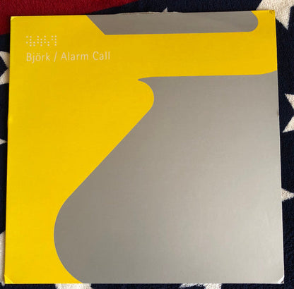 Björk - Alarm Call (12" VINYL) | Very Good Plus (VG+)-