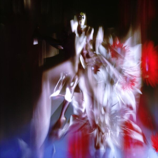 Polygonia - (PRESALE) Ceaseless Motion (VINYL) | Mint (M) Mint (M)-