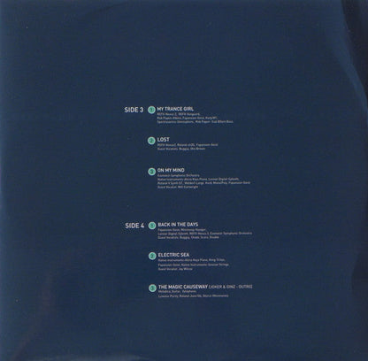 Joker - The Vision (VINYL 2LP) | Near Mint (NM or M-) Near Mint (NM)-