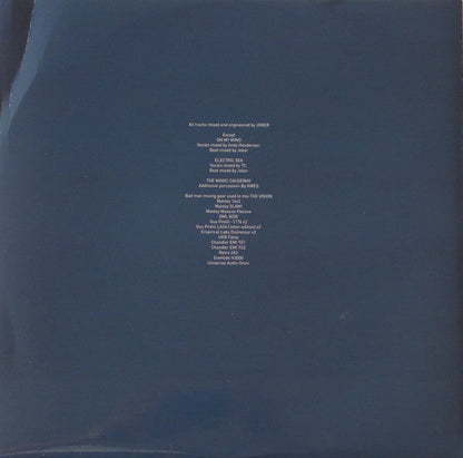 Joker - The Vision (VINYL 2LP) | Near Mint (NM or M-) Near Mint (NM)-