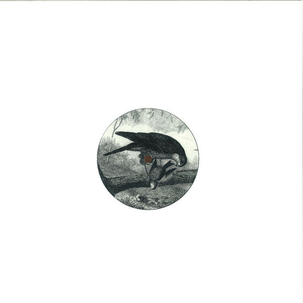 Karma Kid - Bird Of Prey | Mint (M) Mint (M)-