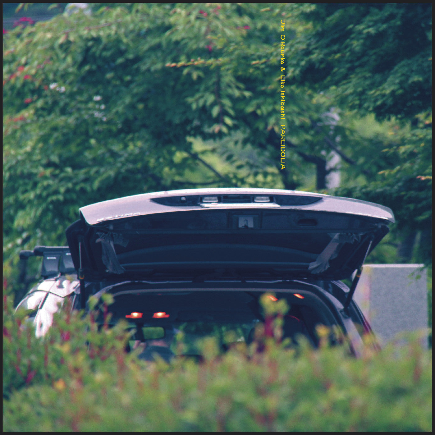 Eiko & Jim O'Rourke Ishibashi - Pareidolia (VINYL) | Mint (M) Mint (M)-