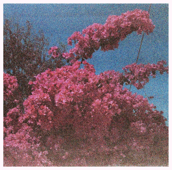 ELISABETH KLINCK - Picture a Frame |-