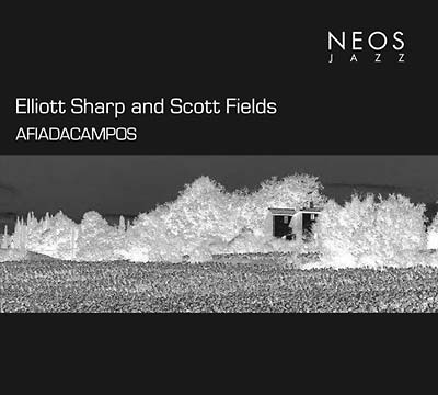 ELLIOTT SHARP & SCOTT FIELDS - Afiadacampos |-