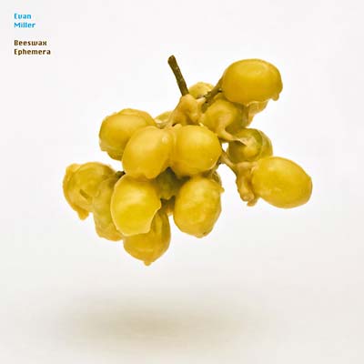 EVAN MILLER - Beeswax Ephemera (CD) | Mint (M) Mint (M)-