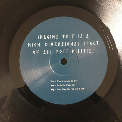 Imagine This Is A High Dimensional Space Of All Possibilities (2xVINYL) | Mint (M) Mint (M)-