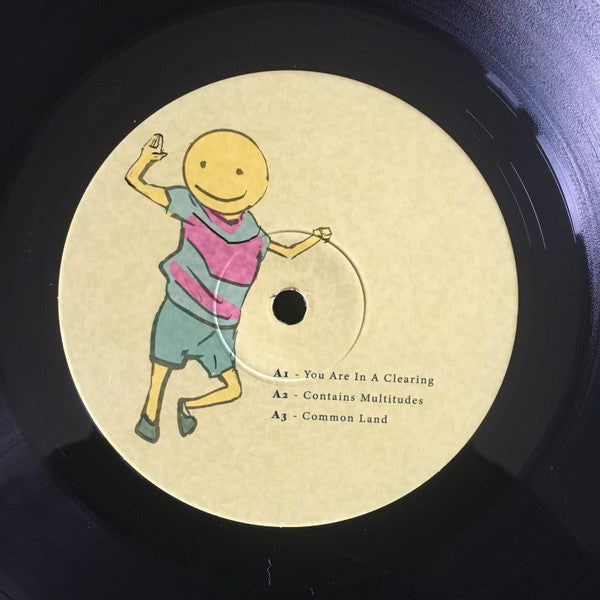 Imagine This Is A High Dimensional Space Of All Possibilities (2xVINYL) | Mint (M) Mint (M)-