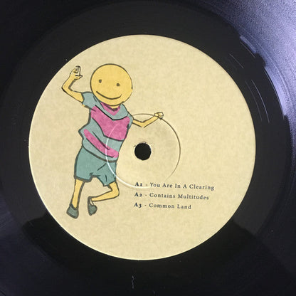 Imagine This Is A High Dimensional Space Of All Possibilities (2xVINYL) | Mint (M) Mint (M)-
