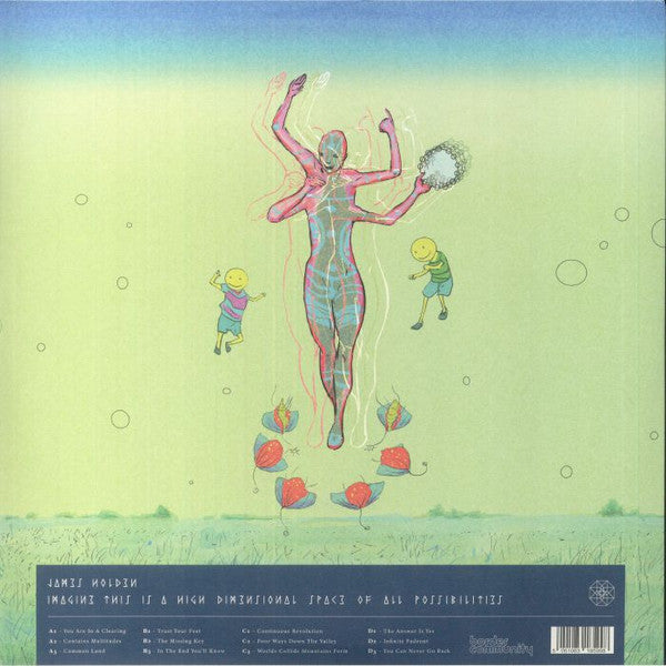 Imagine This Is A High Dimensional Space Of All Possibilities (2xVINYL) | Mint (M) Mint (M)-
