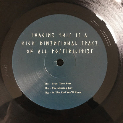 Imagine This Is A High Dimensional Space Of All Possibilities (2xVINYL) | Mint (M) Mint (M)-