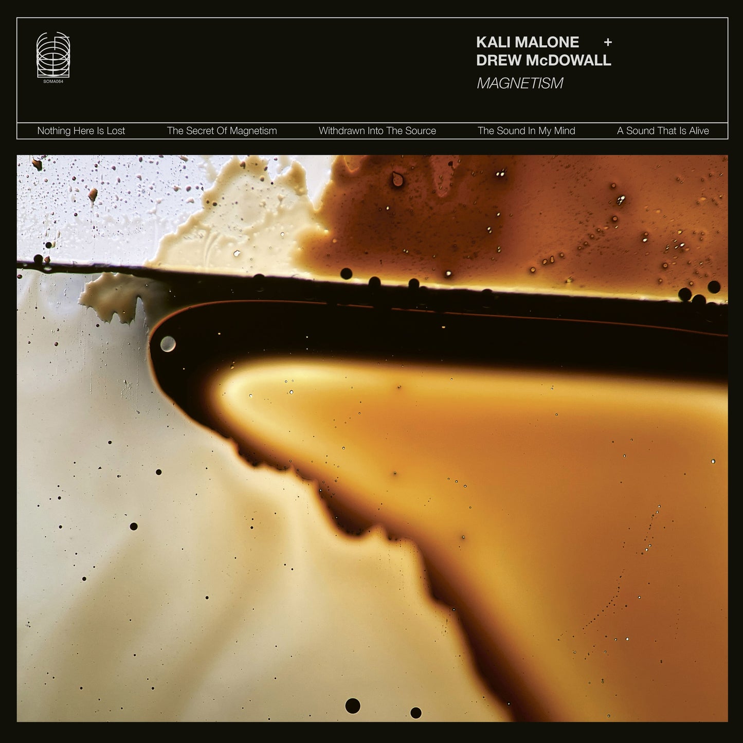 Kali Malone & Drew McDowall - Magnetism (VINYL) | Mint (M) Mint (M)-