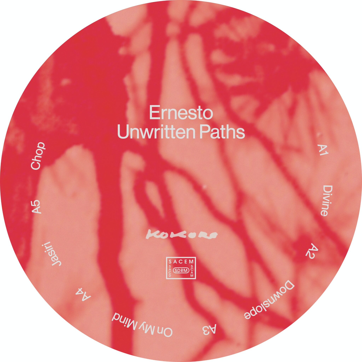 Ernesto - Unwritten Paths (VINYL) | Mint (M) Mint (M)-