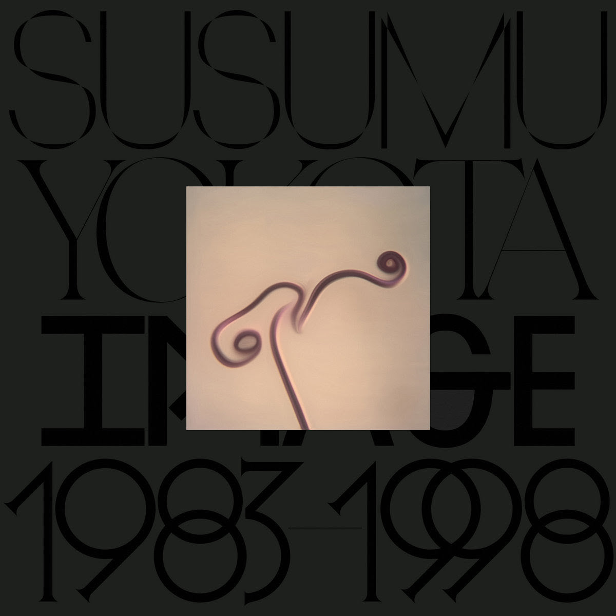 Susumu Yokota - Image 1983-1998 (Skintone Edition)(WARM BEIGE VINYL) | Mint (M) Mint (M)-
