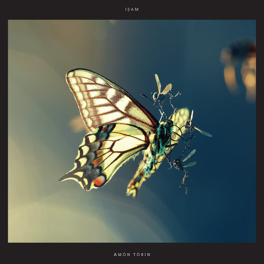 Tobin, Amon - ISAM (CD) | Mint (M) Mint (M)-