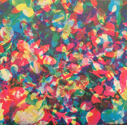 Caribou - Our Love (VINYL) | Mint (M) Mint (M)-