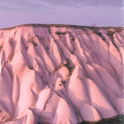 Autechre - Amber (2xVINYL) | Mint (M) Mint (M)-