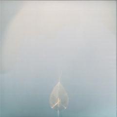 Purelink - Faith (VINYL) | Mint (M) Mint (M)--