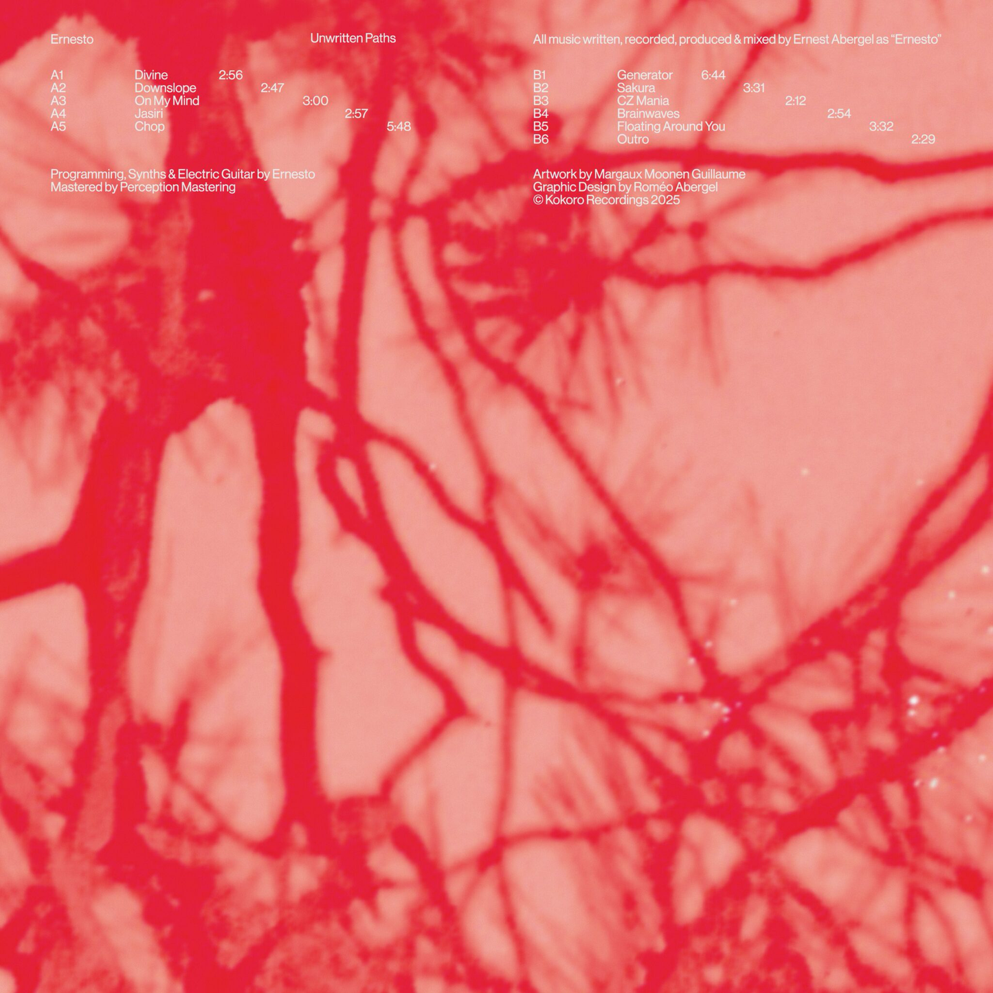 Ernesto - Unwritten Paths (VINYL) | Mint (M) Mint (M)-