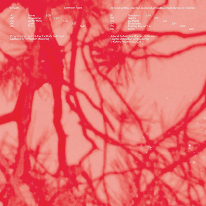 Ernesto - Unwritten Paths (VINYL) | Mint (M) Mint (M)-