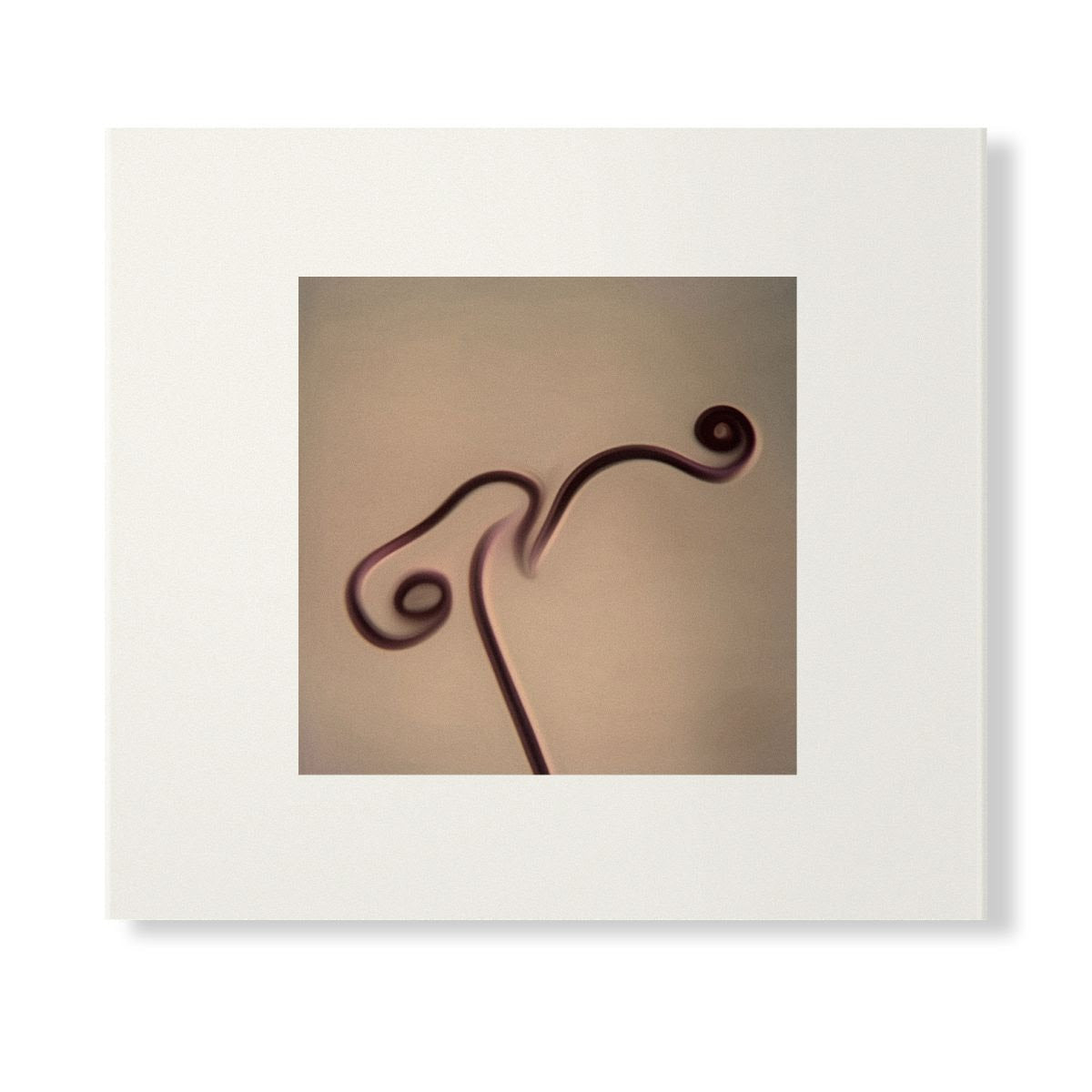 Image 1983-1998 (Skintone Edition)(CD) | Mint (M) Mint (M)-