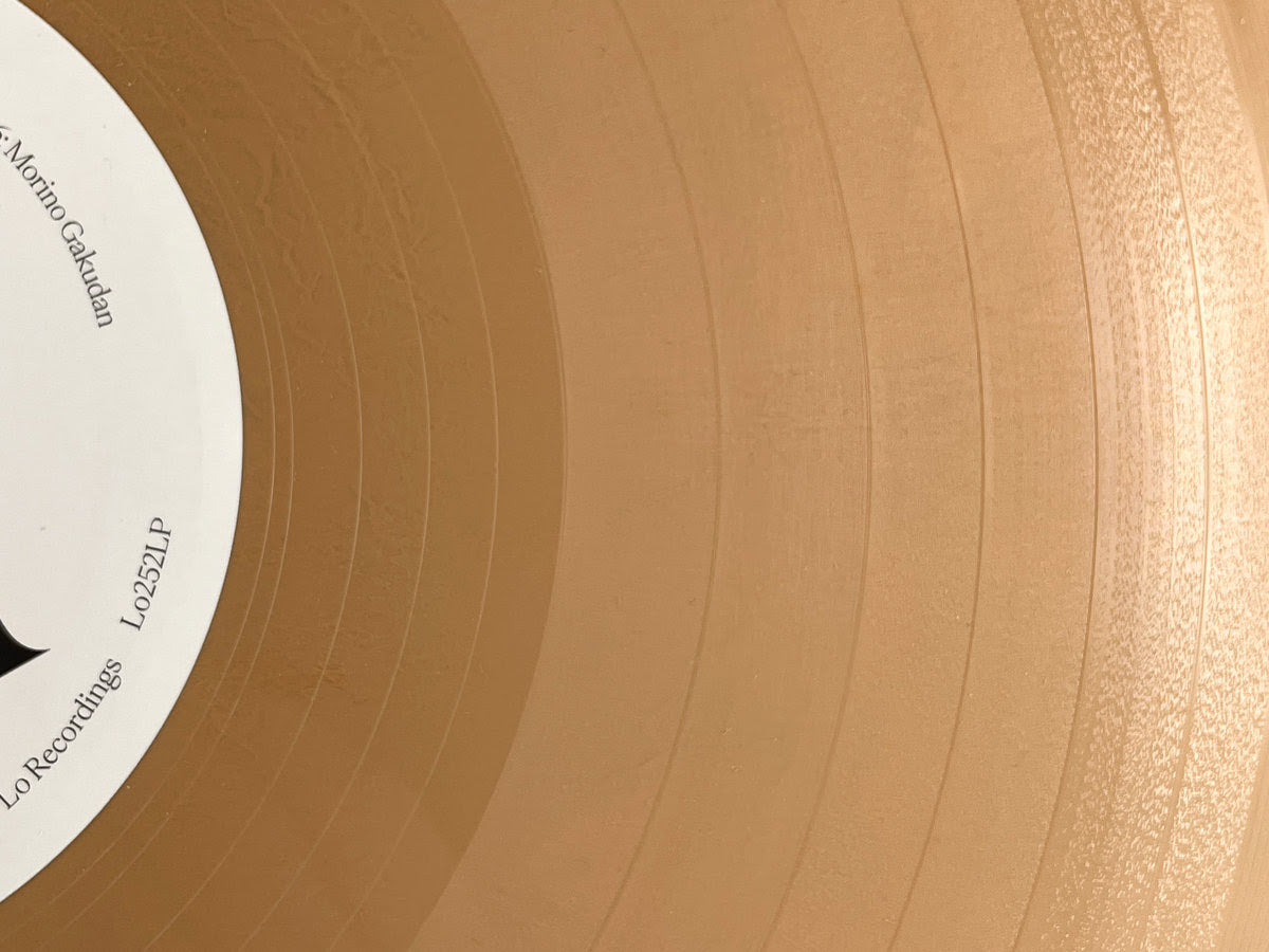 Susumu Yokota - Image 1983-1998 (Skintone Edition)(WARM BEIGE VINYL) | Mint (M) Mint (M)-