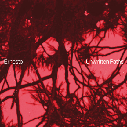 Ernesto - Unwritten Paths (VINYL) | Mint (M) Mint (M)-