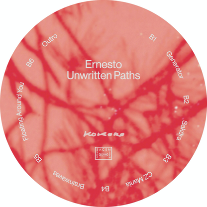 Ernesto - Unwritten Paths (VINYL) | Mint (M) Mint (M)-