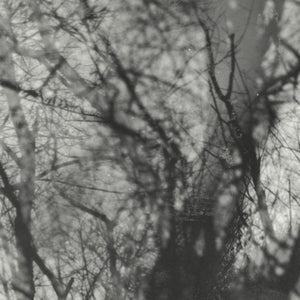 Grouper - Way Their Crept (VINYL) | Mint (M) Mint (M)-