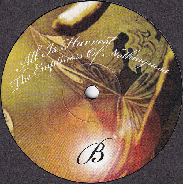 Amorphous Androgynous - The World Is Full Of Plankton (10" RSD 2021 VINYL) | Mint (M) Mint (M)-