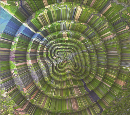 Aphex Twin - Collapse EP (CD) | Mint (M) Mint (M)-