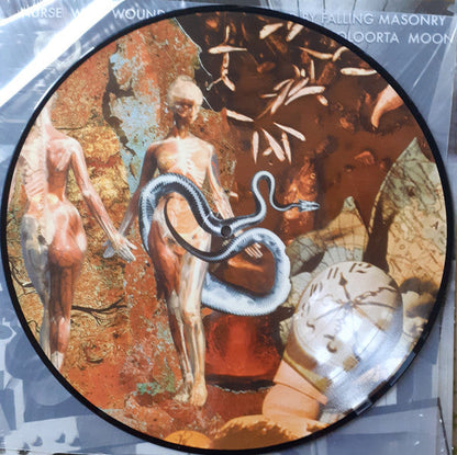 Nurse With Wound - Brained By Falling Masonry / Cooloorta Moon *PICTURE* | Mint (M) Mint (M)-