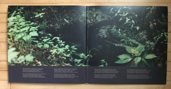 Ultrasonic (2xVINYL) |-