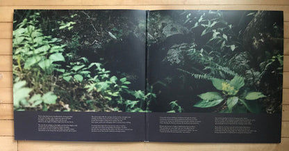 Ultrasonic (2xVINYL) |-