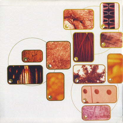 Aphex Twin - Selected Ambient Works Volume II (VINYL 3LP) | Near Mint (NM or M-) Near Mint- (NM-)-