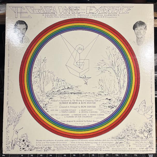 Bearns & Dexter - The Golden Voyage Vol. One (VINYL) | Near Mint (NM) Near Mint (NM)-