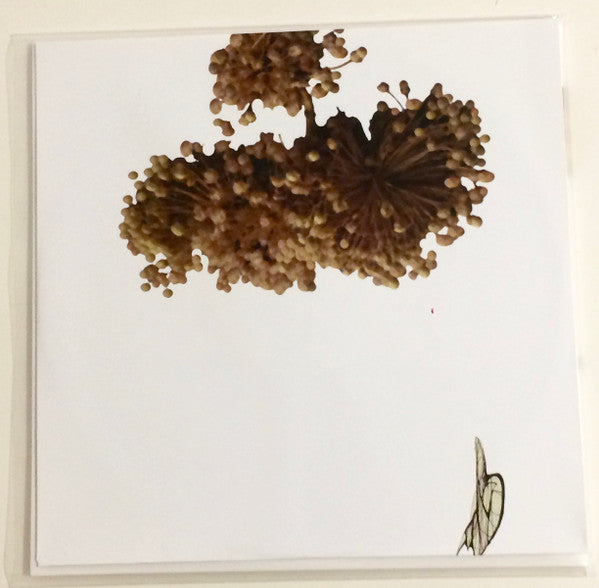Coil - The Ape Of Naples | Mint (M) Mint (M)-