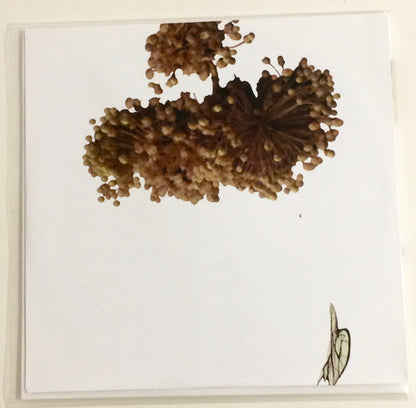 Coil - The Ape Of Naples | Mint (M) Mint (M)-