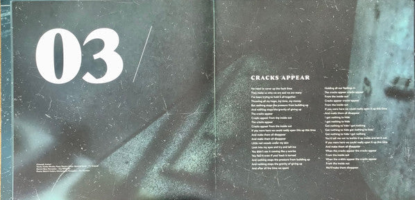 Fink - Resurgam | Mint (M) Mint (M)-