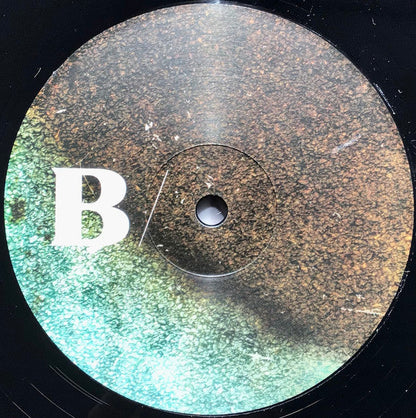 Fink - Resurgam | Mint (M) Mint (M)-
