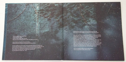 Fink - Resurgam | Mint (M) Mint (M)-