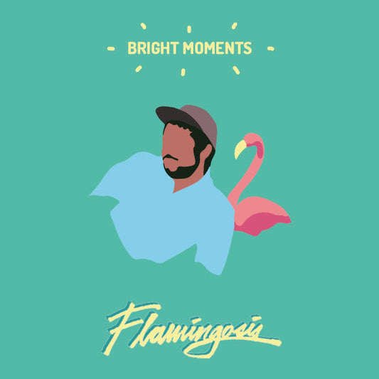 Flamingosis - Bright Moments (VINYL) | Mint (M) Mint (M)-
