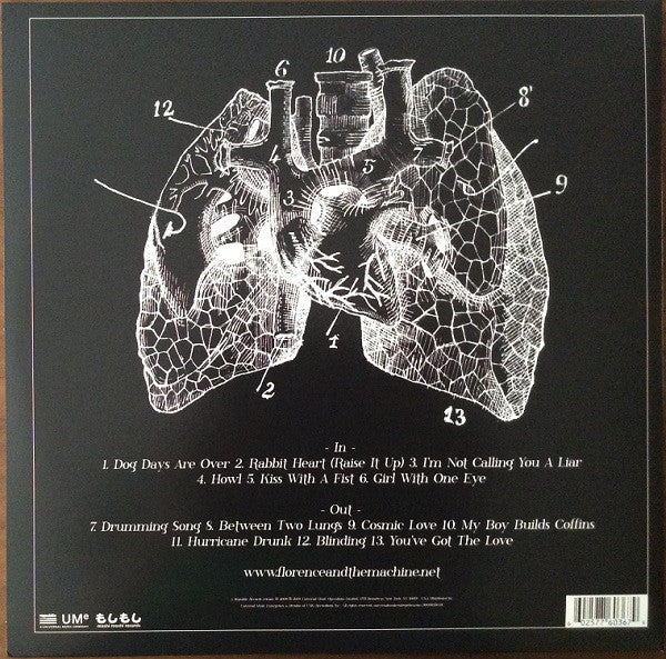 Lungs | Mint (M) Mint (M)-