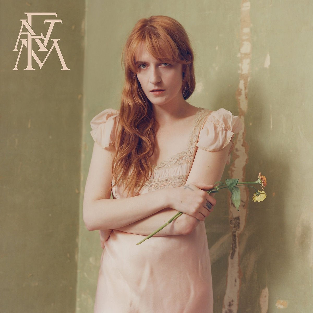 Florence + The Machine - High As Hope (180 Gram Vinyl) [Explicit Content] | Mint (M) Mint (M)-