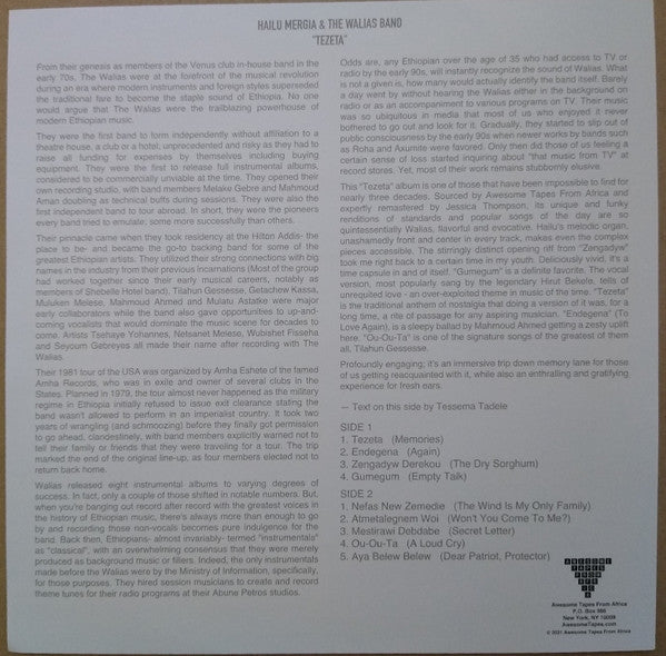 Hailu Mergia - Tezeta (VINYL LP) | NEW Mint (M) Mint (M)-