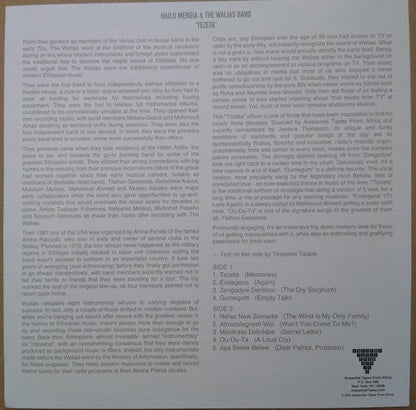 Hailu Mergia - Tezeta (VINYL LP) | NEW Mint (M) Mint (M)-